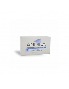 Andina Crema Decolorante Grande 100 g