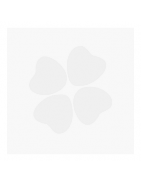 KAIDAX ANTICAIDA CAPILAR SPRAY 100 ML