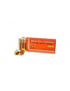 Revital Jalea Real + Vitaminas Ampollas