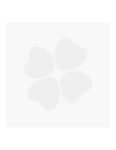 Exelvit Menopausia 30 cápsulas