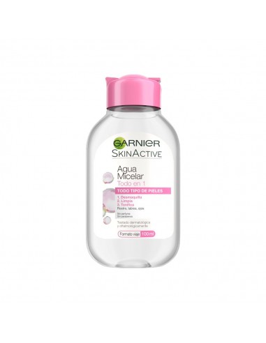 Garnier Agua Micelar Todo en uno 100 ml