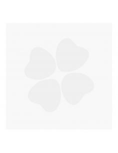 Visaid Aloe Multidosis 10ml