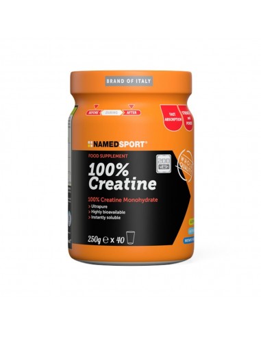 NAMED SPORT 100% CREATINEBOTE DE 250 GR