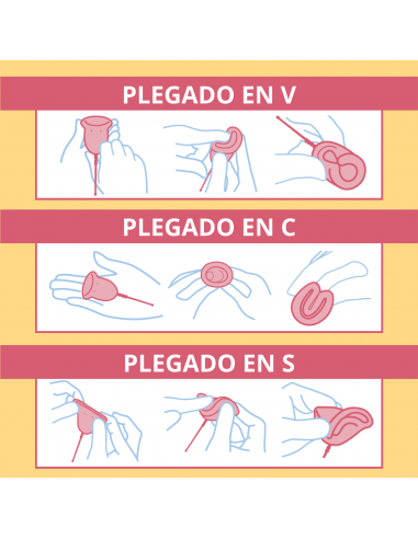 Enna Cycle Copa menstrual Talla L 2 unidades