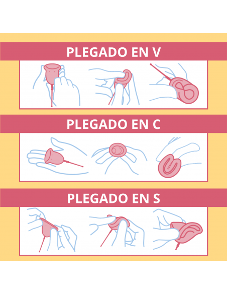 Enna Cycle Copa menstrual Talla L 2 unidades