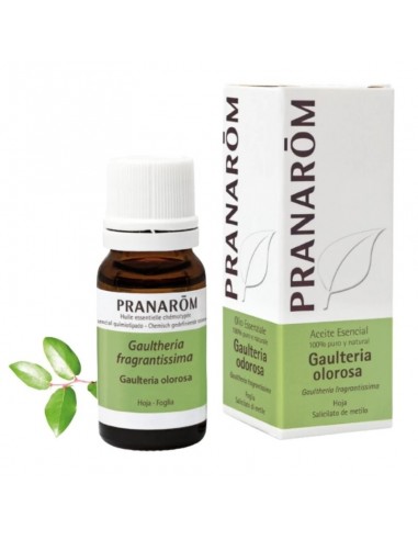 Pranarom Aceite Esencial Gaulteria 10 ml