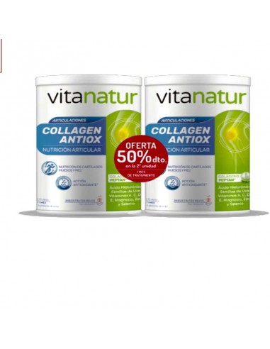 Vitanatur Colageno Antiox Plus 360 g