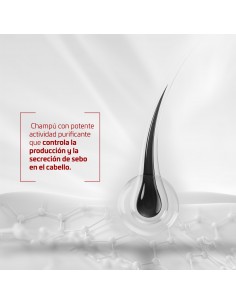 Iraltone Champú Sebo-Regulador 200 ml 2