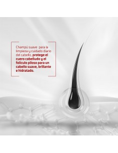 Iraltone Champú Suave Uso Frecuente 200 ml 2