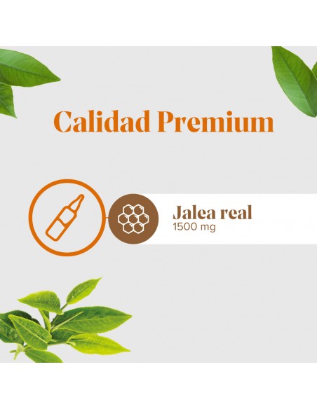 Arko Real Jalea Real 1500 mg Forte Plus 20 ampollas