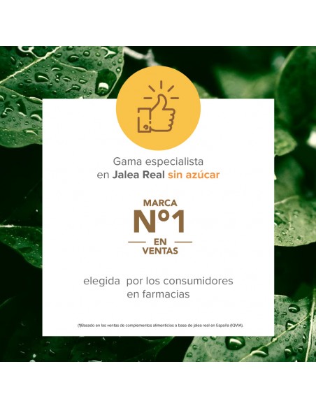 Arko Real Jalea Real 1500 mg Forte Plus 20 ampollas