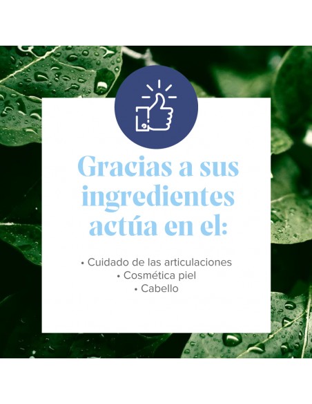 Arkoflex Colageno Sabor Vainilla 360 g