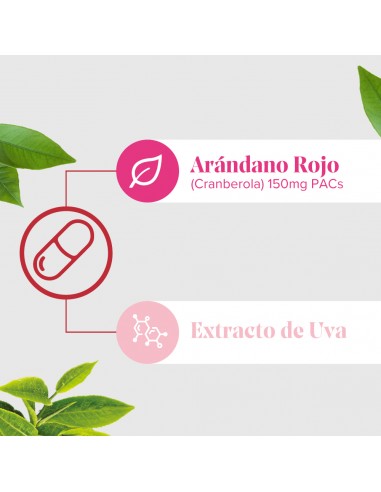 Arkocápsulas Cranberola Cis-Control 60 cápsulas