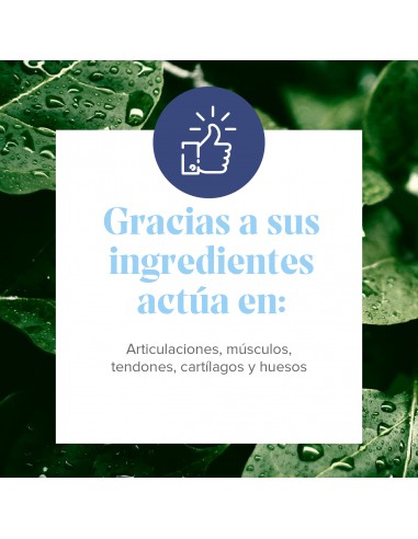 Arkoflex Colageno Formula Expert Naranja 390 g