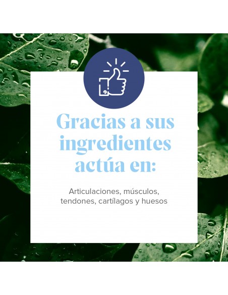 Arkoflex Colageno Formula Expert Naranja 390 g