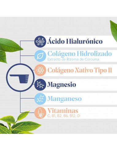 Arkoflex Colageno Formula Expert Naranja 390 g