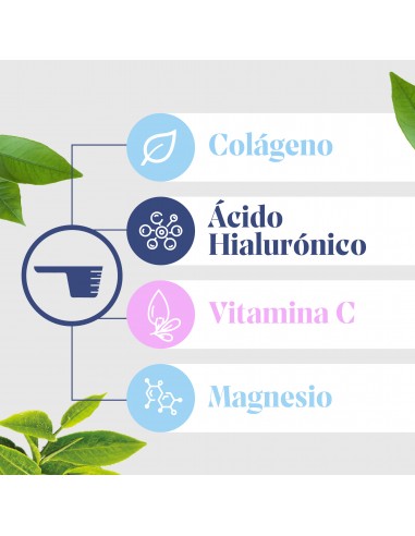 Arkoflex Colágeno Sabor Limón 360 g