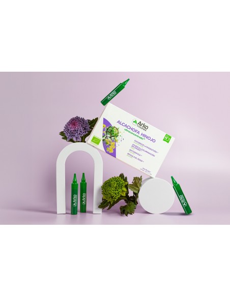 Arko Alcachofa Hinojo 20 ampollas