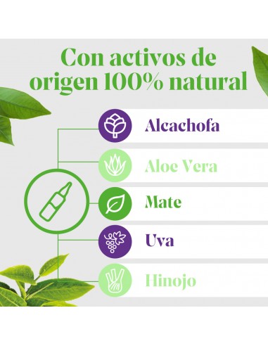 Arkofluido Alcachofa Forte 20 ampollas bebibles