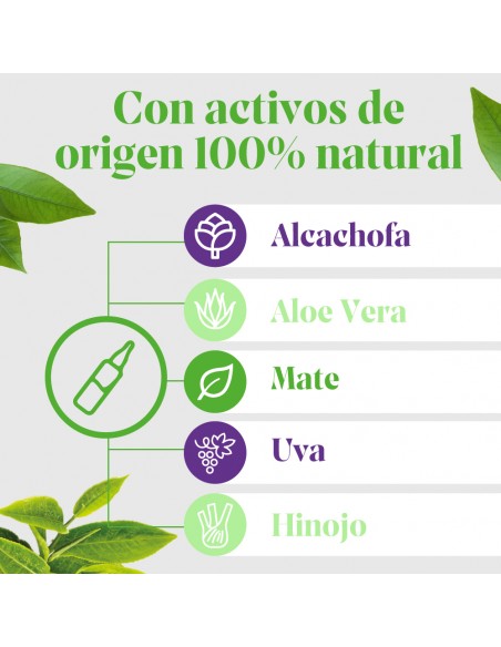 Arkofluido Alcachofa Forte 20 ampollas bebibles