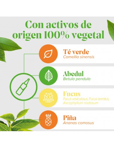 Arkofluido Quemagrasa 20 ampollas