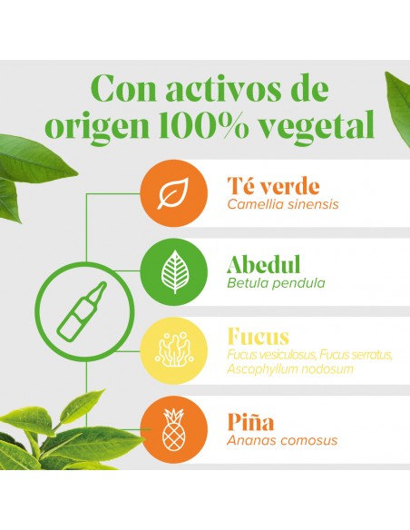 Arkofluido Quemagrasa 20 ampollas