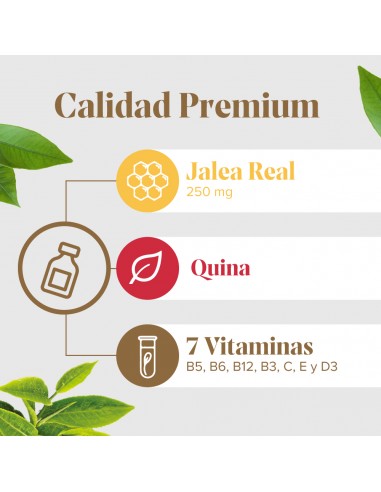 Arko Real Jarabe Apetit