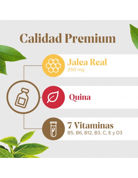 Arko Real Jarabe Apetit