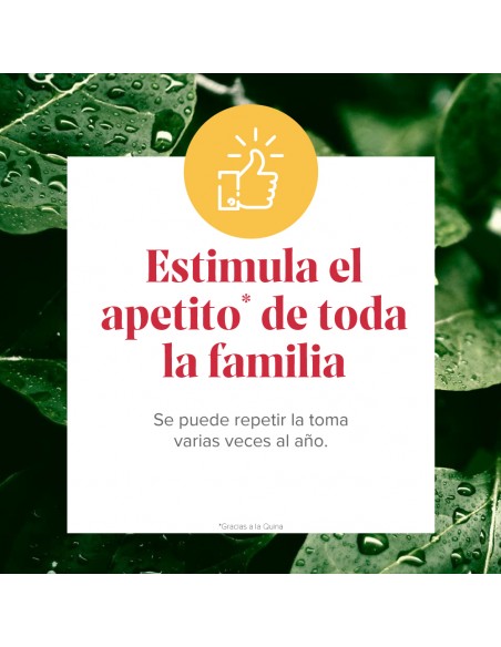 Arko Real Jarabe Apetit