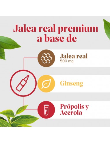 Arko Real Jalea Real + Ginseng 20 ampollas