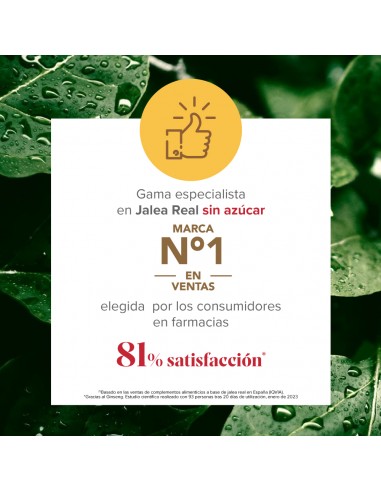 Arko Real Jalea Real + Ginseng 20 ampollas