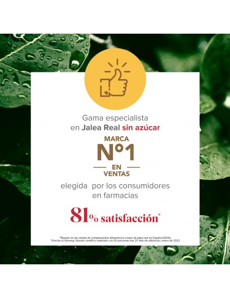 Arko Real Jalea Real + Ginseng 20 ampollas