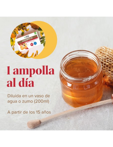 Arko Real Jalea Real + Ginseng 20 ampollas