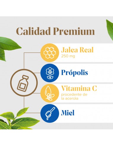 Arko Real Abeja Maya Jarabe Protect Niños 150 ml