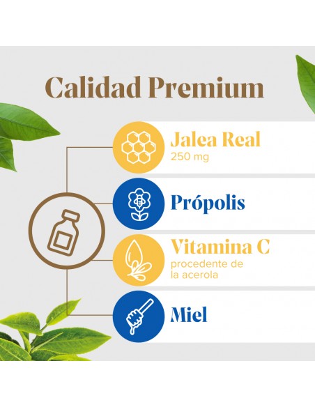 Arko Real Abeja Maya Jarabe Protect Niños 150 ml