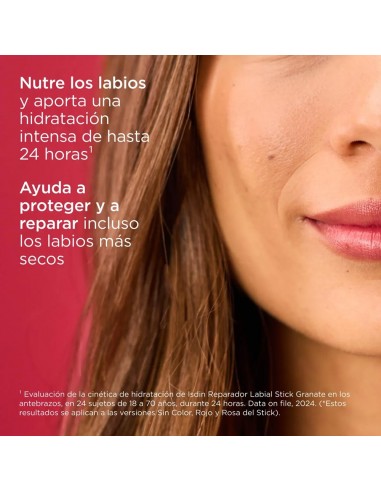 Compra Isdin Reparador Labial Stick Rojo en Farmacias Trébol