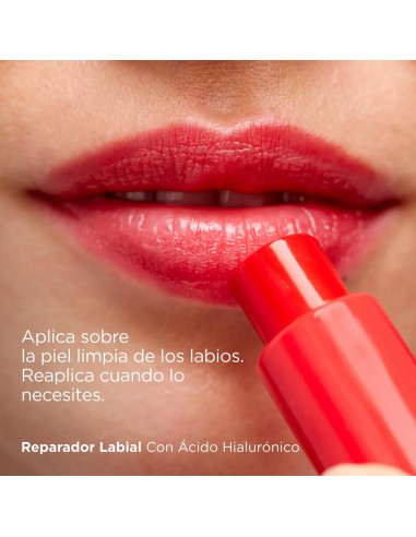 Compra Isdin Reparador Labial Stick Rojo en Farmacias Trébol