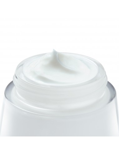 Vichy Liftactiv Supreme Crema de Noche 50 ml