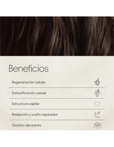 Olistic Night Booster 28 viales