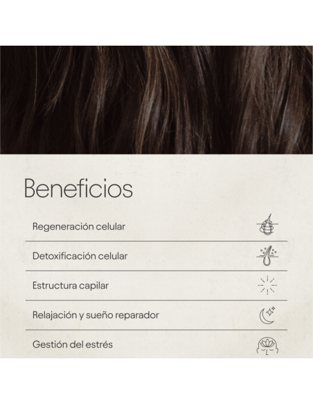 Olistic Night Booster 28 viales