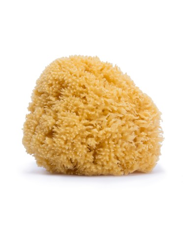 Suavinex Esponja Natural Grande