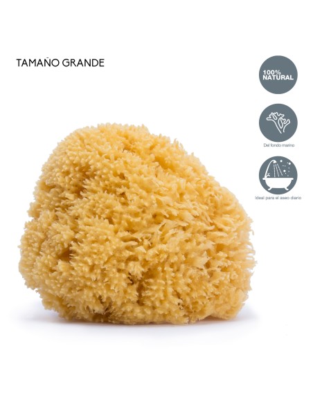 Suavinex Esponja Natural Grande