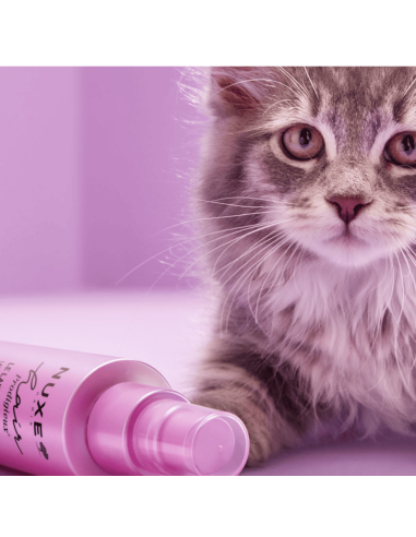 Nuxe Hair Prodigieux Leche Desenredante sin Aclarado 100ml