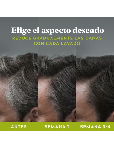 Just For Men ControlGX Champú Reductor de Canas 118 ml