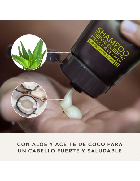 Just For Men ControlGX Champú Reductor de Canas 118 ml