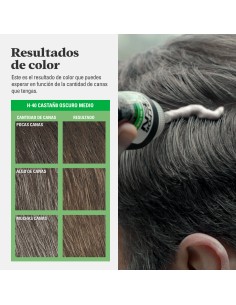 Just For Men Colorante en Champú Castaño Claro 2
