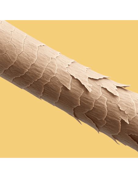 Freshly Cosmetics Hair Radiance Keratin Spray 100ml Spray de Keratina