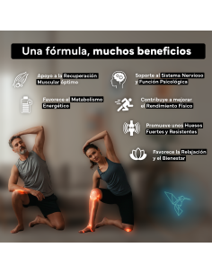Sevens Nutrition Complejo de Magnesio 180 comprimidos 2