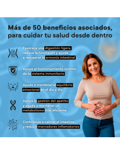 Sevens Nutrition Probióticos Global 60 cápsulas 2