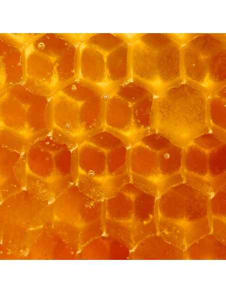 Beemine Hani+ Mixtura de Miel con CBD 140 g
